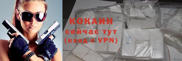 дживик Богданович