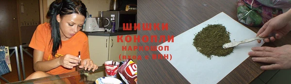 амф Богородицк