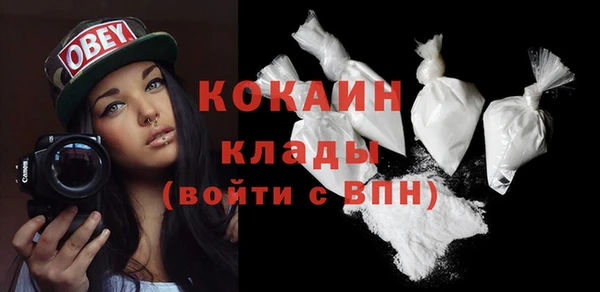 шишки Богородск