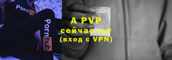 дживик Богданович
