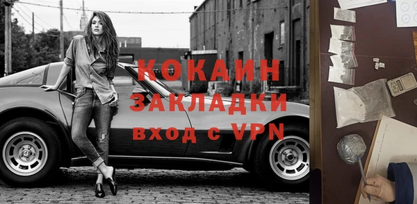 шишки Богородск